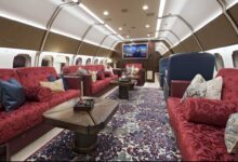 Minority accuses Akufo-Addo of insensitivity for using luxurious private jet for 10-day foreign trip