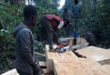 4 illegal chainsaw operators arrested; 10 others remanded