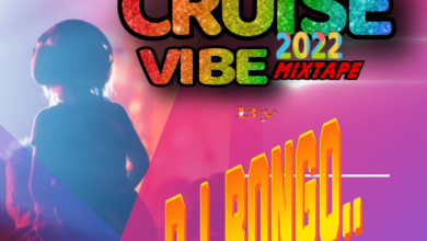 DJ Bongo - Cruise Vibe 2022 Mix. (Mp3 Download)