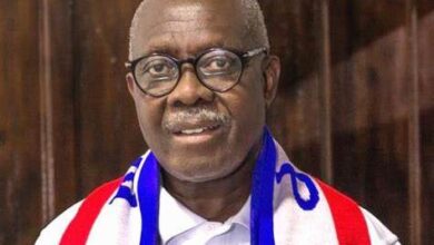 I will build NPP into an all-inclusive party for victory in 2024 - Former Foreign Affairs Minister