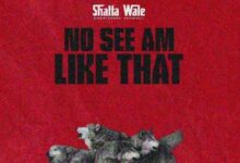 Shatta Wale No See Am Like That, Shatta Wale – No See Am Like That