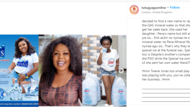 How Twene Jonas Allegedly Collapsed Afia Schwarzenegger’s Pure Water Business As She Serves Special Ice At Father’s Funeral