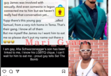 I Am Gay, Afia Schwar's Son Has Been Linked To Me; I Can't Wait For Him To Eat Me