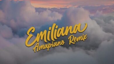 DJ Latitude Soundz CKay Emiliana (Amapiano Remix)