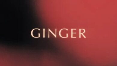 King Promise Ginger, King Promise – Ginger (Prod. by JAE5)