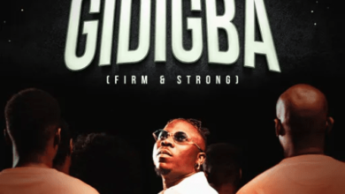 Stonebwoy Gidigba (Firm & Strong), Lyrics : Stonebwoy – Gidigba (Firm & Strong)