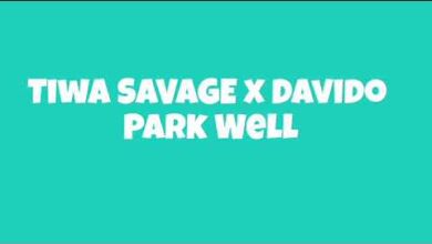 Tiwa Savage Park Well Davido