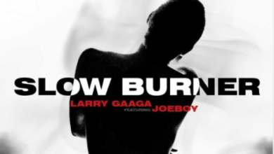 Larry Gaaga Joeboy Slow Burner