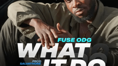 Fuse ODG What It Do, Fuse ODG – What It Do