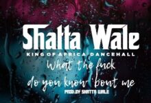 Shatta Wale What The F*ck Do You Know About Me, Shatta Wale – What The F*ck Do You Know About Me