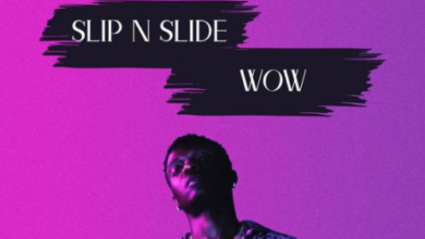 Wizkid Slip N Slide Lyrics