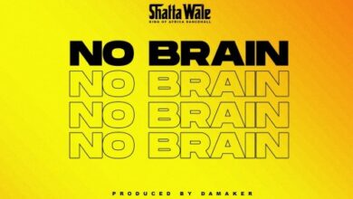 Shatta Wale – No Brain