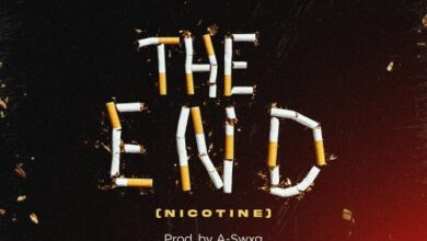 Dayonthetrack – The End (Nicotine)