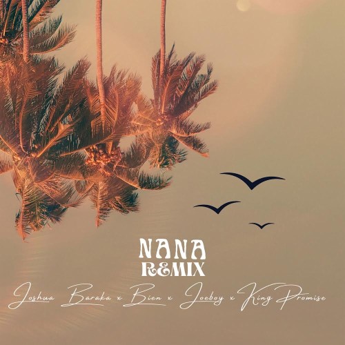 Joshua Baraka – Nana (Remix) ft. Joeboy, King Promise & Bien